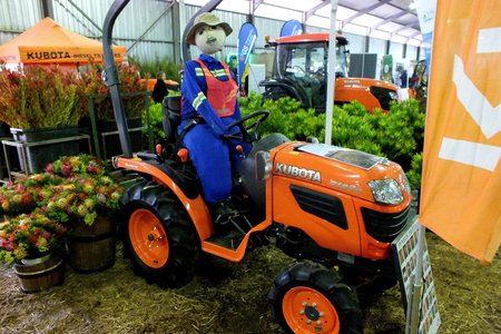 Gansbaai Gaan Bos Gaan Fynbos 2